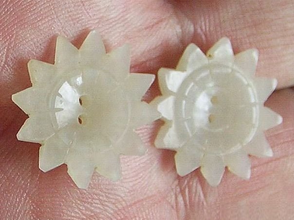 Flower 194 & 195 - (9487)